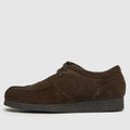Phoenix in Brown